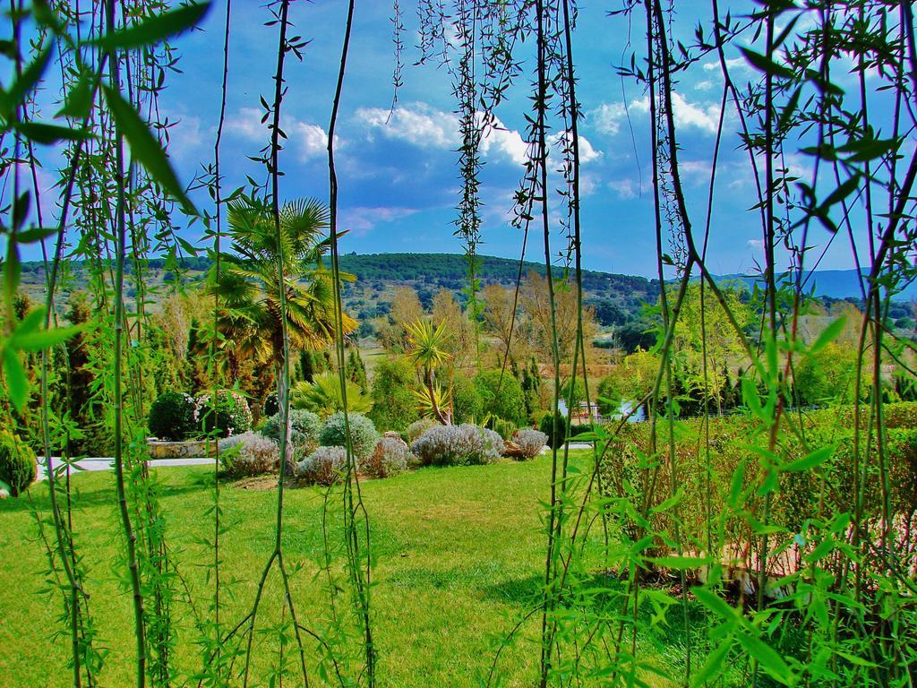 Hotel La Perla Blanca - Ronda Extérieur photo